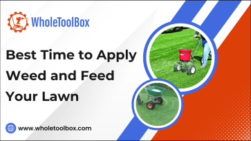 Best Time to Apply Weed and Feed Your Lawn
