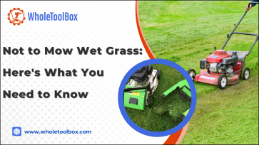 Not to Mow Wet Grass: Here's What You Need to Know