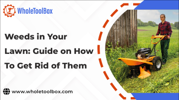 Weeds in Your Lawn: Guide on How to Get Rid of Them