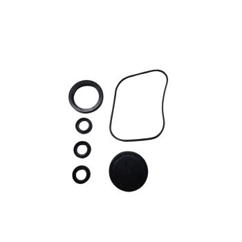 Briggs & Stratton 198846GS Pressure Washer Oil Seal Kit