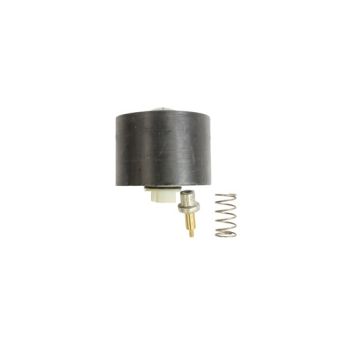 Karcher 4.580-359.0 Thermo valve 60 GRD