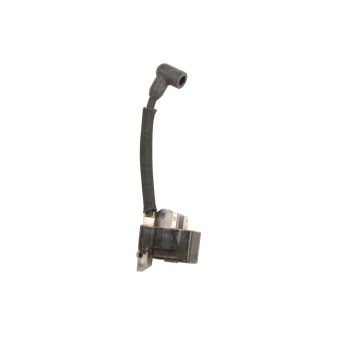 Craftsman 530039137 Leaf Blower Ignition Module