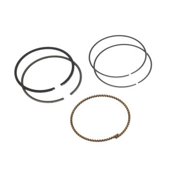 BRIGGS & STRATTON 843806 Lawn Mower Ring Set