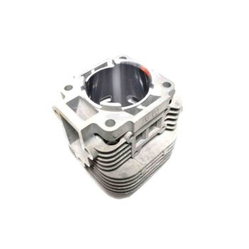 Echo A130000901 Cylinder