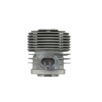 Echo A130002250 Cylinder