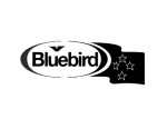 Bluebird
